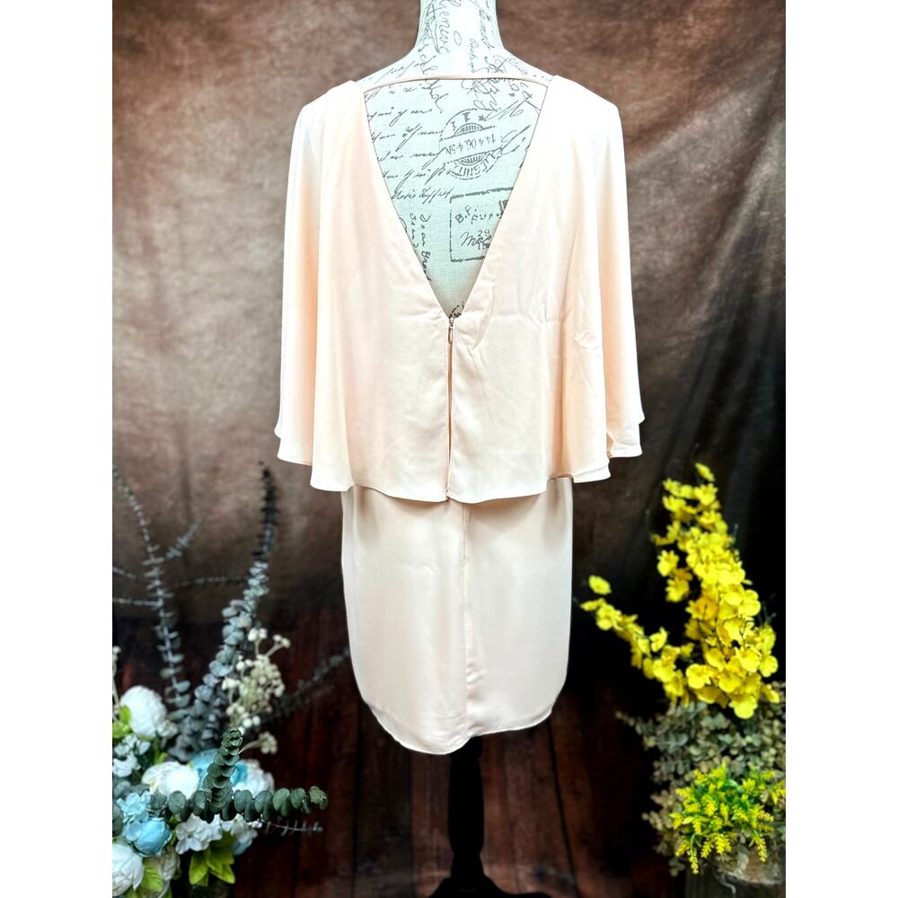 Three Eighty Two V Neck Overlay Chiffon Mini Dres… - image 9